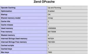 php的Opcache-Ppabc运维日志