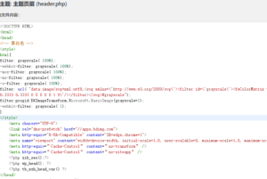 WordPress网站变成黑白色代码-Ppabc运维日志